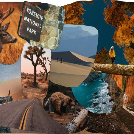 Regardless of what kind of traveler you are, California has a park for you.