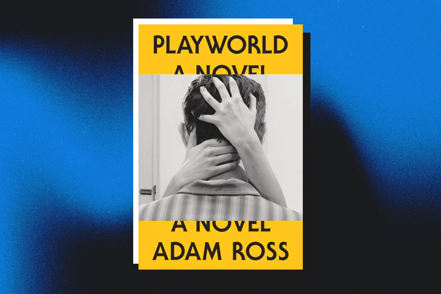 Adam Ross, Playworld